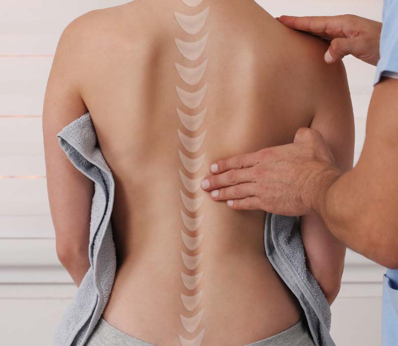 Nervous System